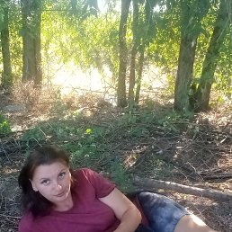 , 33, 