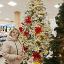 ���� ������, �������� - ��������� 9 ������ 2026 � ������ ���� ����������