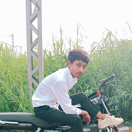 Rahil Khan, ����, 84 ����