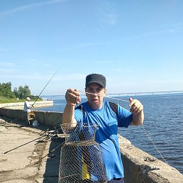 �������, ���������, 36 ���