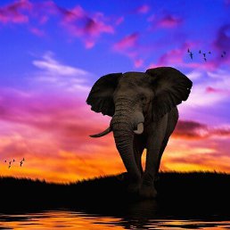 ���� ����, �������, 53 ���� - ��������� 3 ������� 2025