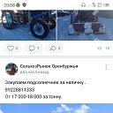 ���� ��������, ������, 36 ��� - ��������� 11 ����� 2024 � ������ ���� ����������