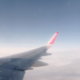 ������, ������, 40 ���