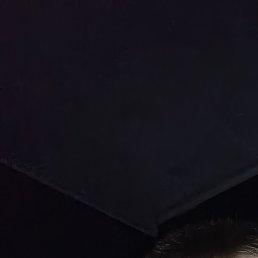 �����, ����, 18 ���