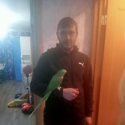 , 30, 