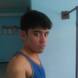 , 29, 