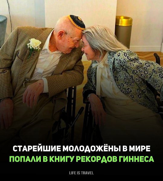 ��������� � ���� ���������� ������ � ����� ��������.�������� ��������, ������� ���������� 102 ����, ...