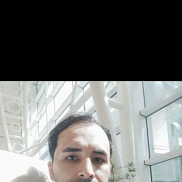 , 24, 
