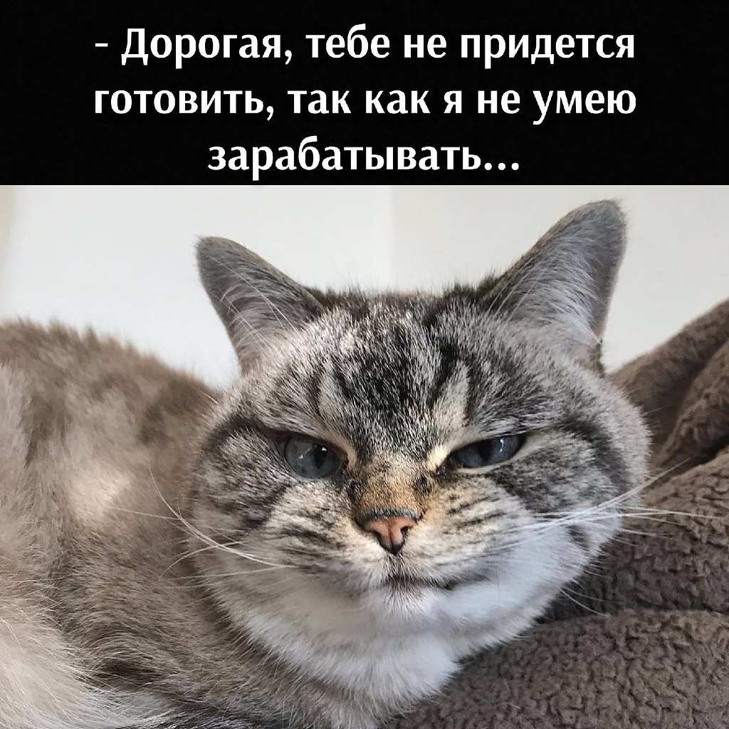       - 9  2025  16:52 - 2