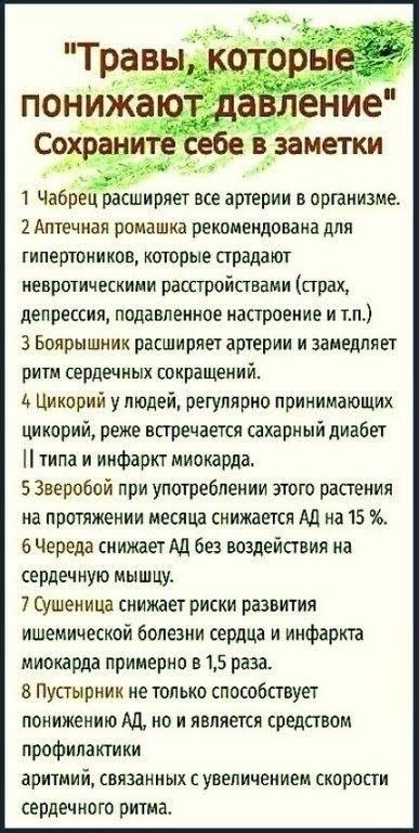 ₪╬═►  ||  ||  ◄═╬₪ - 11  2024  14:41