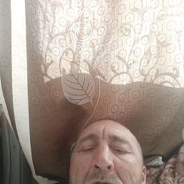  , 53, 