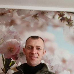 ������, 41 ���, ������