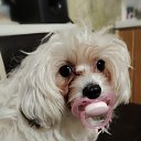 ���� �������, ������, 42 ���� - ��������� 15 ������ 2025 � ������ ������ ��������