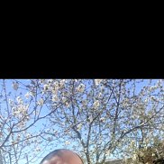 ������, 46 ���, ������