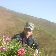 , 42 , 
