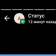 ����, 41 ���, �����