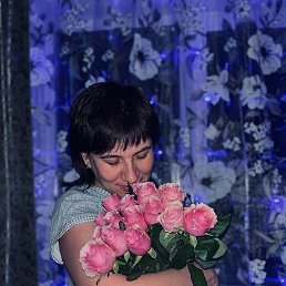 ���������, ���������, 40 ���