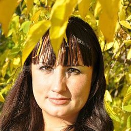 ���� �����, ������, 44 ���� - ��������� 19 ����� 2026