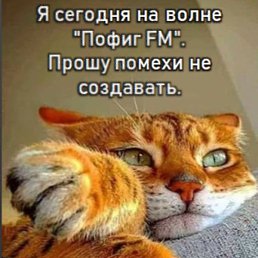 Pin�4��, ������