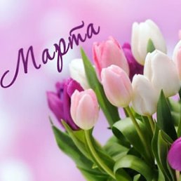 ���� ������, ������, 46 ��� - ��������� 9 ����� 2024