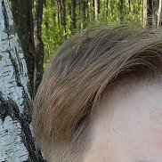 , 34 , 