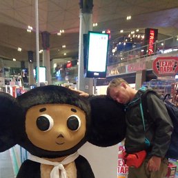 ���� ������, �����-���������, 43 ���� - ��������� 19 ������ 2024