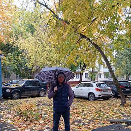 �����, ����, 37 ���