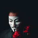   , -, 28  -  17  2025