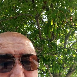 , 55, 