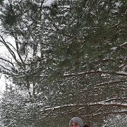 �����, 40 ���, ������