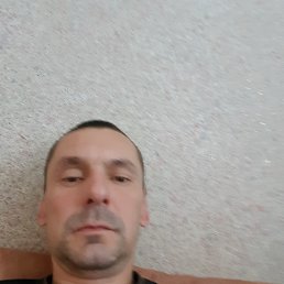 ���� Xiix, ���, 43 ���� - ��������� 26 ���� 2025