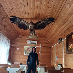 �������, ������, 37 ���