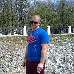 �������, ���������, 41 ���