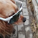 ���� ����, ������, 40 ��� - ��������� 10 ������ 2026