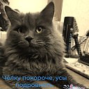 ���� ��������, ������, 51 ��� - ��������� 25 ��� 2024 � ������ ���� ����������