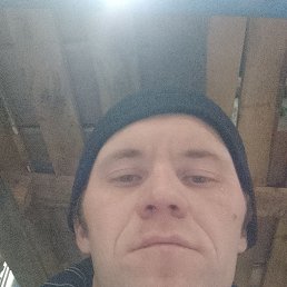 ��������, 37 ���, �������