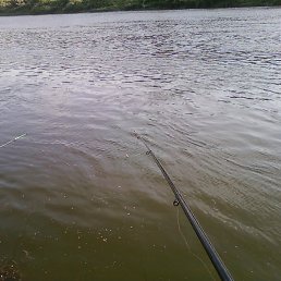 ���, ������