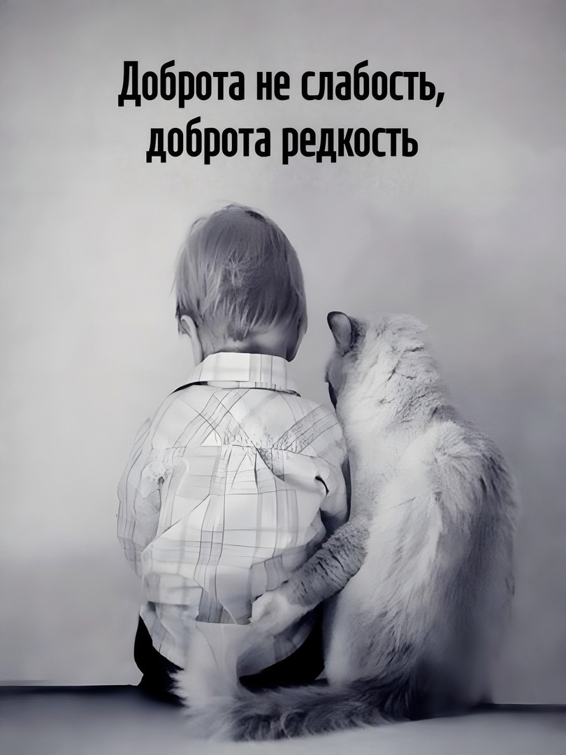  - 22  2025  07:23