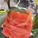 ���� V, �����������, 47 ��� - ��������� 30 ���� 2025 � ������ ������ ��������