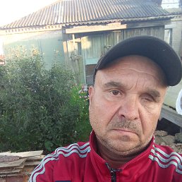  , 56 , 