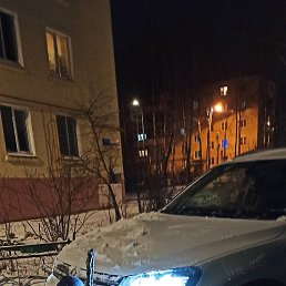 ���� ���������, ����������, 38 ��� - ��������� 8 ���� 2026