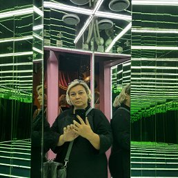 ���� �����, ����������, 49 ��� - ��������� 4 ������ 2026