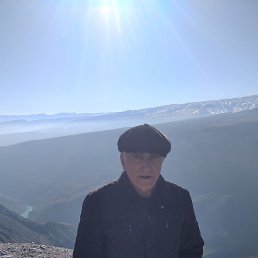 , 55, 