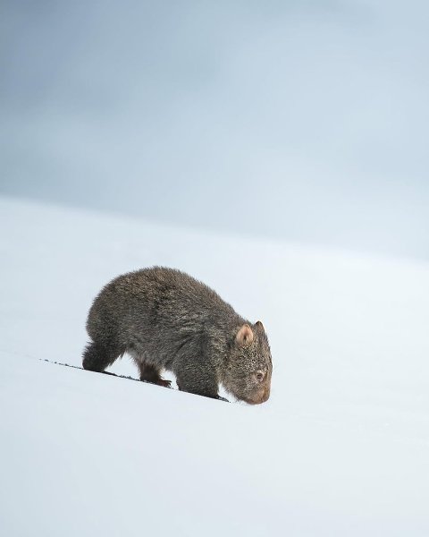   ,    ,   .     ... - 3