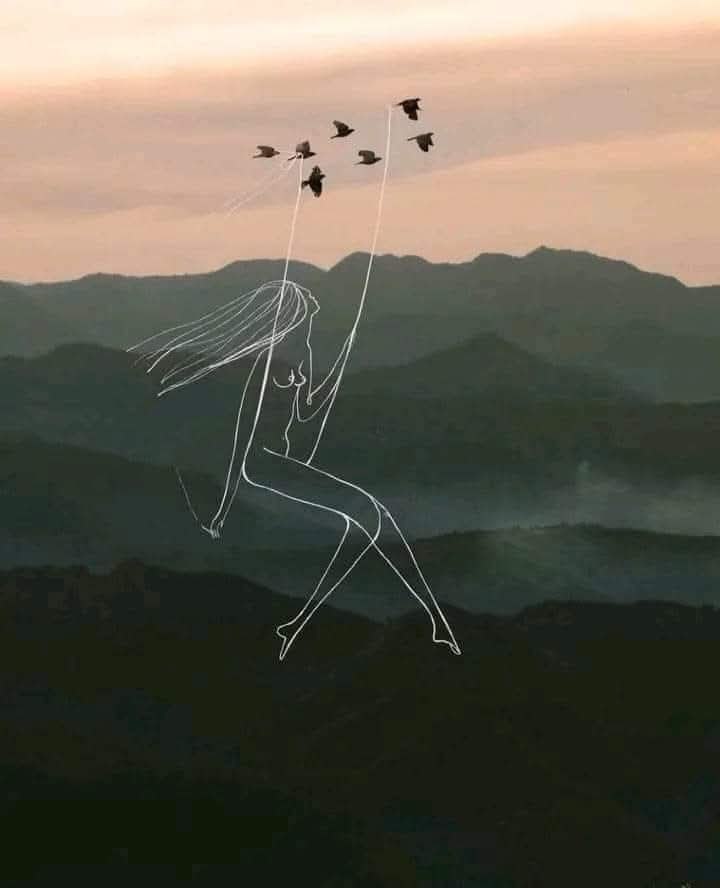 ... -  .       ...  