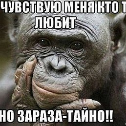 �������, �������, 66 ���