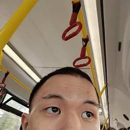 ���� Tim, �����, 24 ���� - ��������� 11 ������� 2026