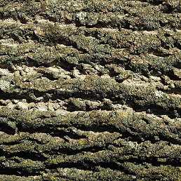 Dsdsds, ������, 24 ����