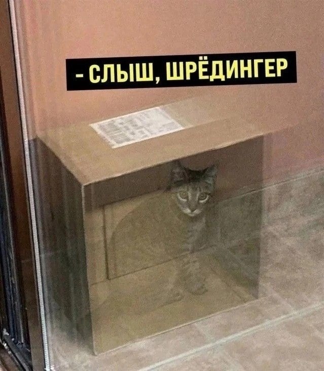       - 7  2025  21:52
