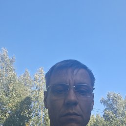 , 44, 
